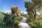 Walking path in the countryside, summer, Southern France.