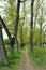 Walking path at creek at spring with trees