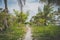 Walking path, dirt trail, walkway through tropical garden lands