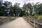 Walking path through an Eucalyptus tree grove in Pismo Beach, California where Monarch Butterflies migrate every winter; the