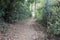 Walking path through forest around Yeak Laom lake