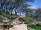 Walking path, headland Point Lookout Stradbroke Is