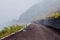 Walking path/Horse riding path near Mt Fuji 5th Station