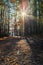 Walking path in Lake johnson park of Raleigh, NC