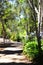 Walking path leading down to Australian bushland, Adelaide Hills.