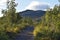 Walking path in by loussavaara in Kiruna swedish lapland