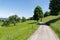 walking path in the midday sun with big green meadow on the left, lush trees covered with leaves, fresh air is healthy, in the
