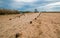 Walking path next birdwatching viewing hut in San Jose del Cabo lagoon / estuary in Baja California Mexico