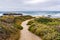 Walking path on the Pacific Ocean coastline, Pescadero State Beach, California