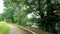 Walking path in the park with trees and grass