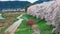 A walking path by river bank with a romantic archway of beautiful Sakura blossoms