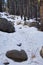 Walking path with rocks in Wyoming forest