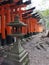 Walking path `Senbon Torii` of Fushimi Inari Taisha