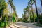 A walking path surrounded by tall palm trees in a small public park in Nicosia