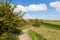 Walking path to Ivinghoe Beacon Chiltern Hills Buckinghamshire England UK English countryside