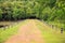 Walking Path to Jedkod Waterfall, Saraburi, Thailand