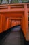 Walking path with a tunnel of red torii gates at Fushimi Inari