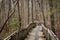 Walking path on wood boardwalk thru woods