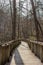 Walking path on wood boardwalk thru woods