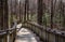 Walking path on wood boardwalk thru woods