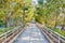 Walking Path through Woods