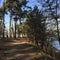 Walking path in woods