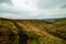 Walking in Peak District England, Higher Shelf Stones