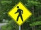 Walking or Pedestrian Sign Isolated near a road