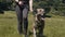 Walking Pet Dog on Leash in Park / Green Meadow on Summer Day