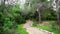 Walking promenade in the Israeli forest