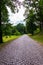 A walking promenade paved with paving stones leads into the green park zone with beautiful trees and ornamental shrubs