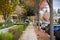 Walking through a residential neighborhood on a cloudy autumn day; colorful fallen leaves on the ground; Palo Alto, San Francisco