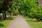 Walking road in CitÃ© Internationale Universitaire de Paris building