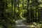 Walking the road following the Nakasendo trail between Nagiso and Tsumago in Kiso Valley, Japan.