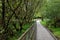 Walking route through nature park in Glendalough