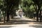 Walking route of the Villa Borghese Gardens Park . Rome