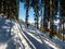 Walking route in the woods in winter in resort Ladis, Fiss, Serfaus in ski resort in Tyrol