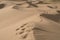 Walking on sand dunes