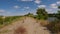 Walking on sandy levee next to Sacramento river on a summer day with clouds