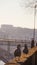 Walking seagulls with bridge view Porto Portugal