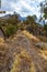 Walking in Simien Mountain, Ethiopia wilderness, Africa