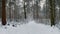 Walking in the snow covered dark forest