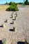 Walking steps at the playground by wooden stumps