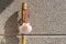 Walking stick and seashell of the Camino de Santiago