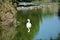Walking storks flying around a lake on a green background