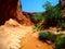 Walking through the stream in Coyote Gulch, Escalante, Utah