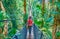 Walking through suspension bridge, Tree Top Walk, Mae Fah Luang garden, Doi Tung, Chiang Rai, Thailand