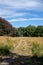 Walking throw nature, lovely cloudy blue sky. Hampstead heath Park