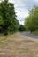 Walking throw nature, spectacular long green leaves trees. Finsbury Park