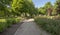 Walking tiny alley in the park among the summer lush greenery of trees and other plants .